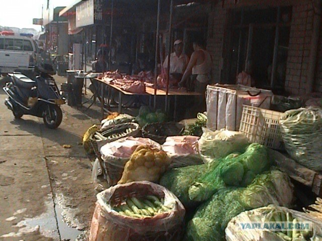 Что скрывается за "железным занавесом" 21 века