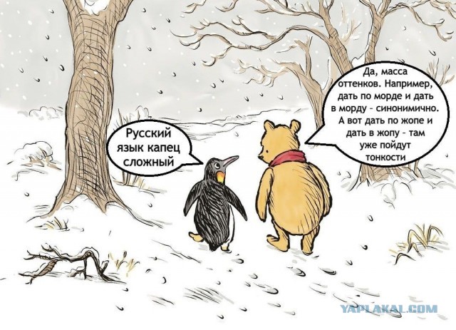 Иностранец о Русском языке