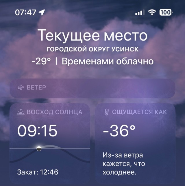 Утренний сюрприз