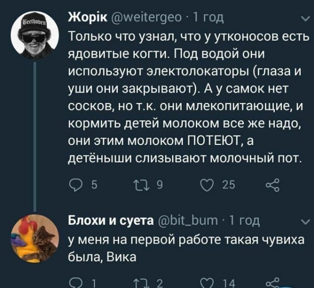 Тлидцать тли от 14 февлаля