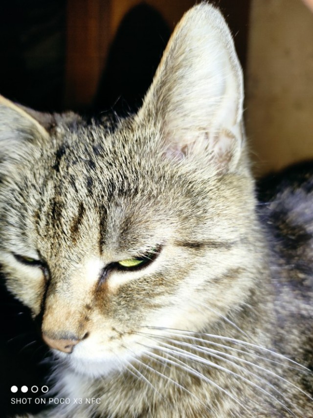 Сборник рассказов ЯПовских авторов. Обсуждение проблемы.