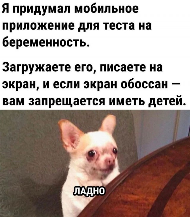 Завалялось тут случайно немного забавных картинок