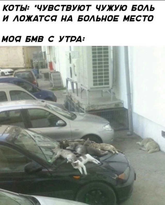 Завалялось тут случайно немного забавных картинок