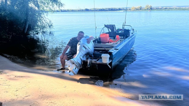 Какое у вас самое любимое наслаждение в данный момент вашей жизни. Голосовалка.