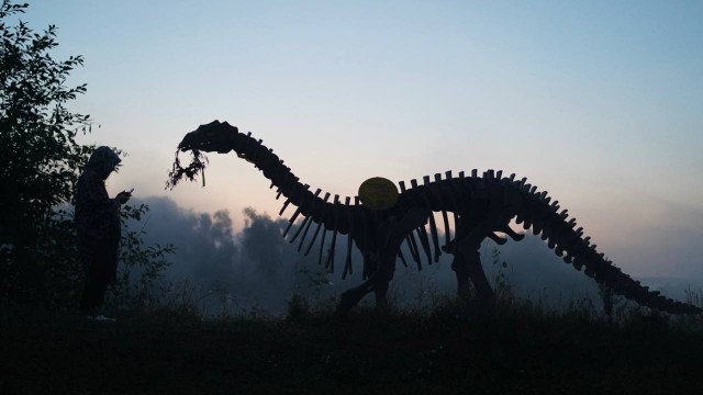 Немного картинок
