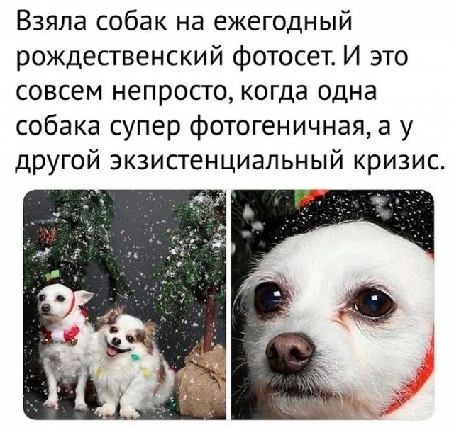 Так себе картинки 31.12.24