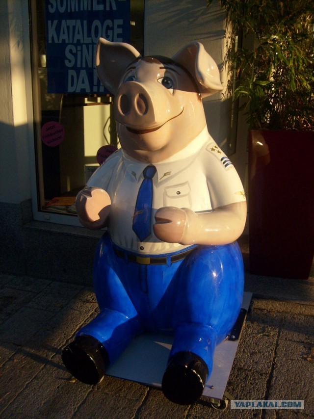 В Германию на сертификацию.