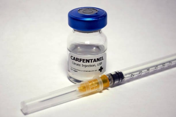 Все *овно к нашему берегу