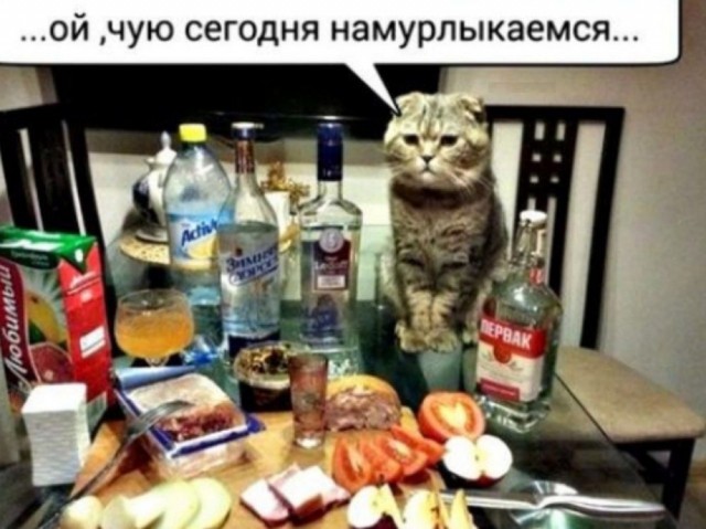 Дочь на тебя жалуется...
