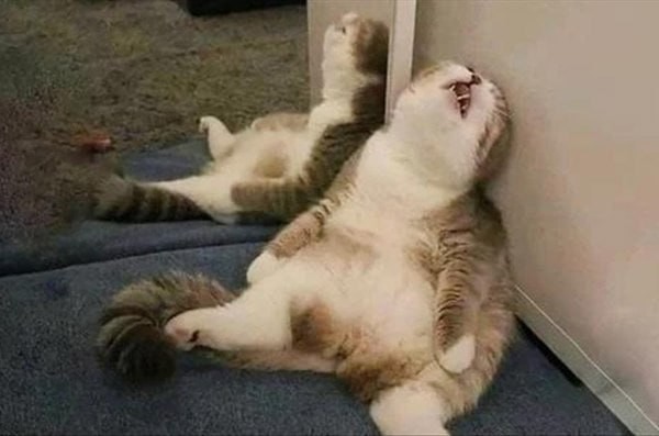 День синдрома хронической усталости отмечается сегодня