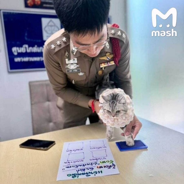 Нападение на полицейских в Тайланде