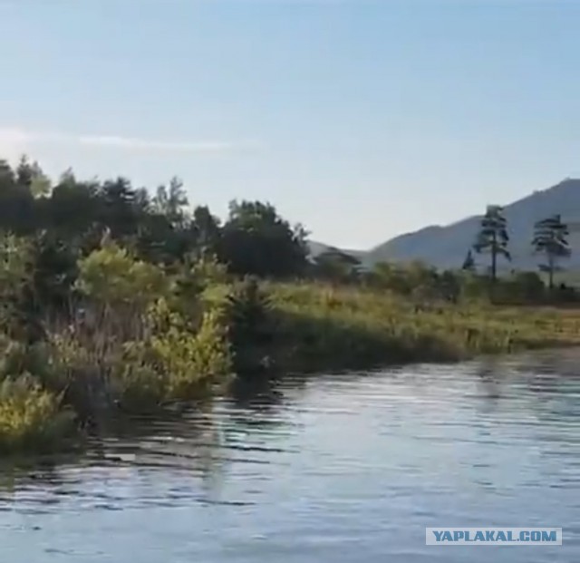 Мужики опробовали вездеход на воде и вот что из этого получилось