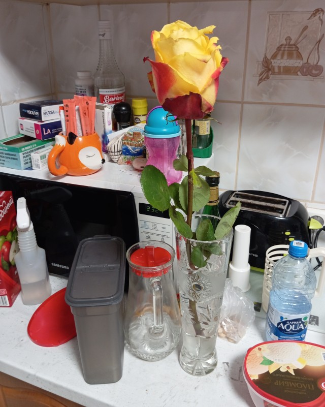 Сегодня я понял эту жизнь