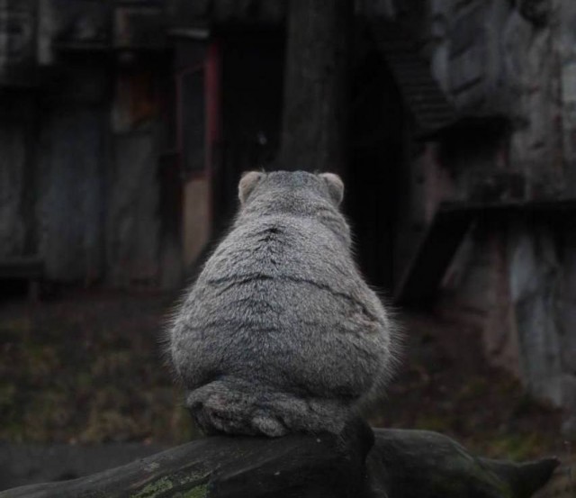 А теперь важнейшие экономические новости: