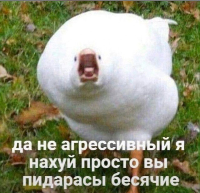 Депрессивный дегрономикон 2