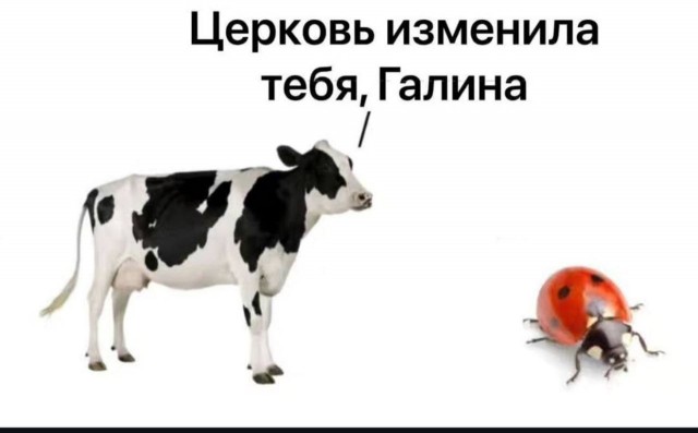 Мои избранные картинки часть 6