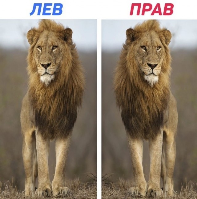 Сударыня Тударыня