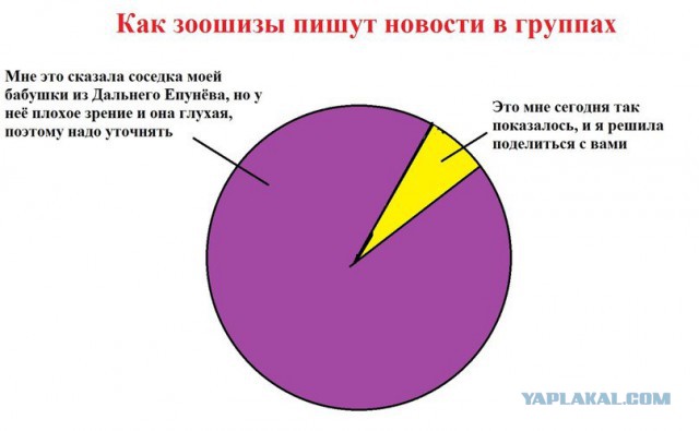 Поймали догхантера