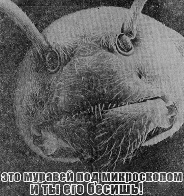 Немного позитива на пятницу