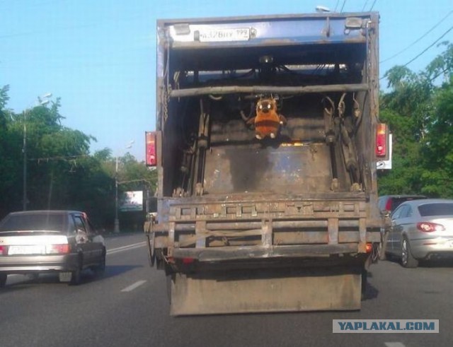 Весёлое из сети
