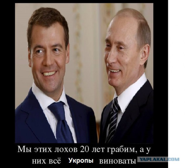 Падение рубля не задело рейтинг Путина