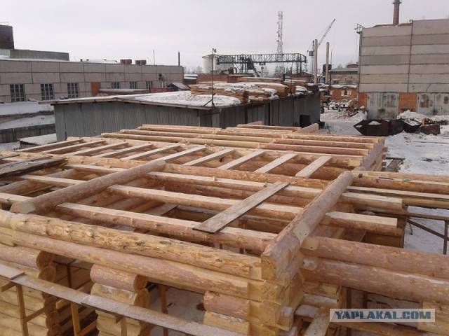 Как нарисовать сову