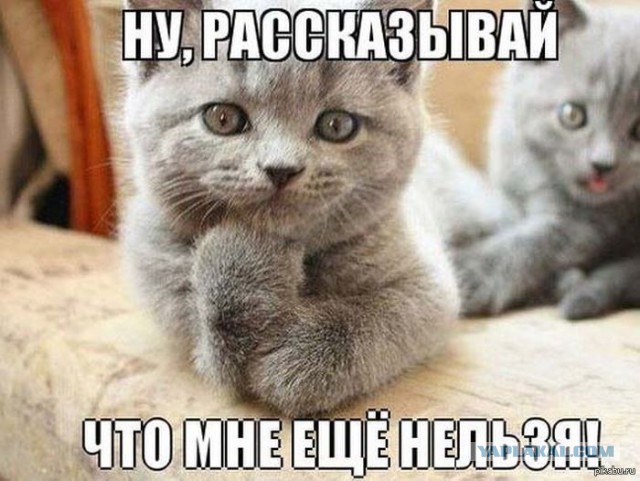 Простите, вы не будете есть эту колбаску?
