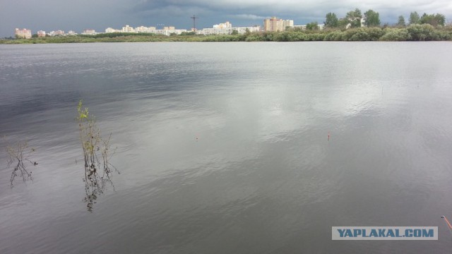 История одной летней рыбалки