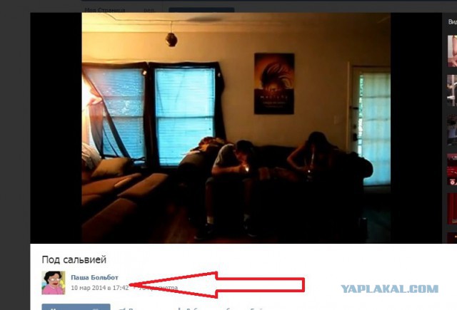 Чувак дунул и вышел в окно