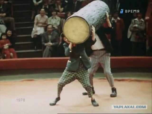 Жена и любимая дочка просят кошку, как быть?