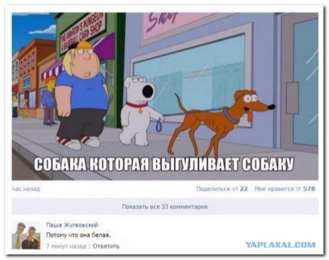 Смешные комментарии из социальных сетей 20.05.2016