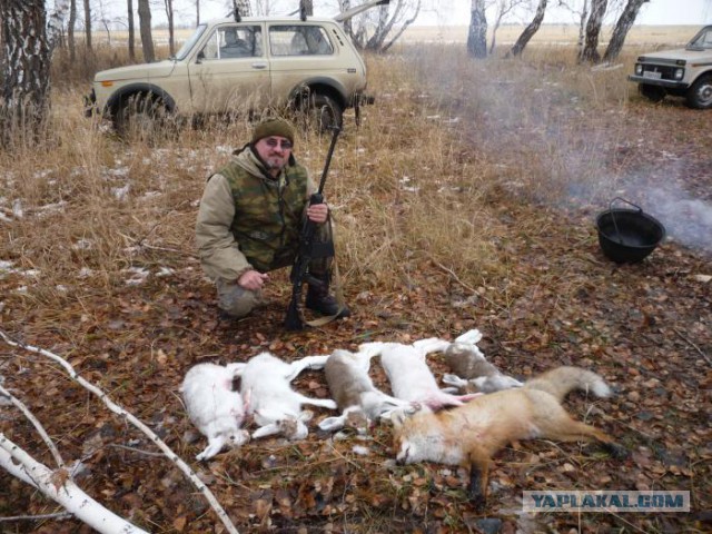 Живодерки из Хабаровска скорей всего сядут в тюрьму