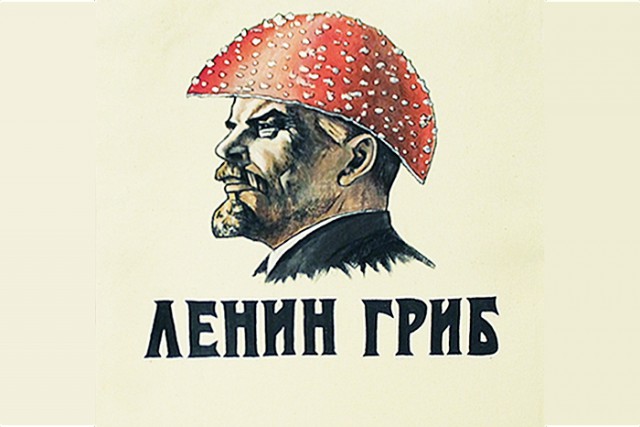 Бред или очередная теория заговора