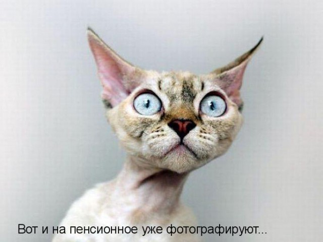 Коротко о том, как великолепно я получаюсь на фотографиях