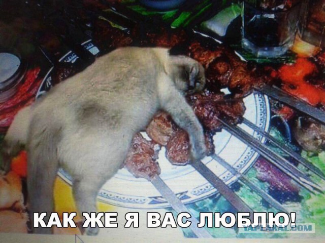 Забавные комментарии, шутки и фразы из этих ваших интернетов