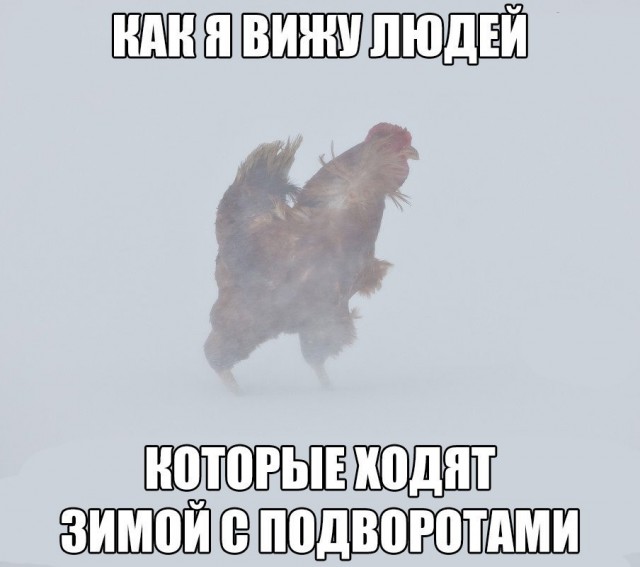 Подвороты 21 века (ЯП-историки и эксперты)