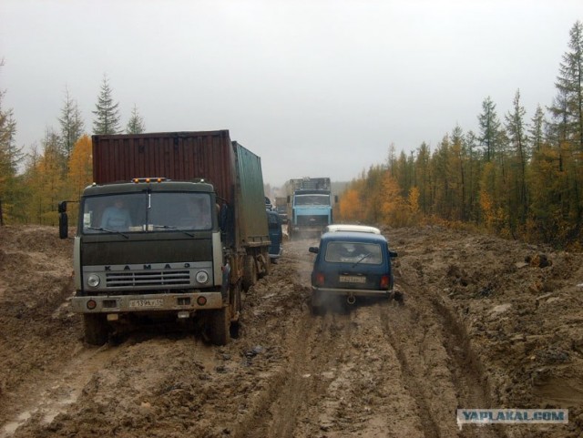 Якуты, клад,золото,любовь...