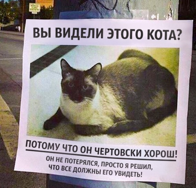 Смешные объявления, надписи и вывески
