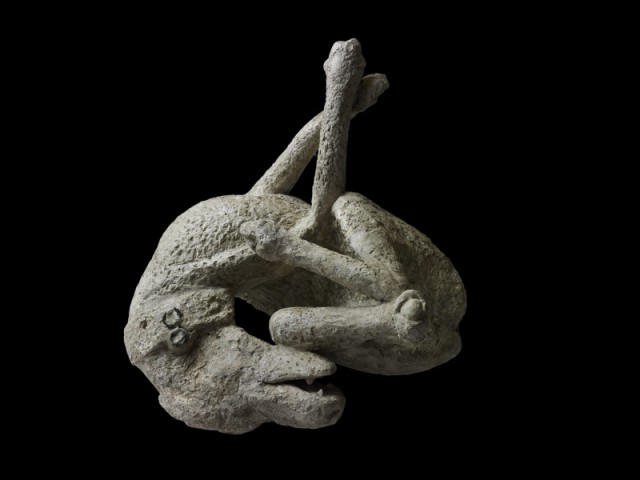 Брошены и забыты... Жертвы Везувия