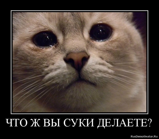 Нашли тайник в глухом лесу. Вскрываем загадочный контейнер