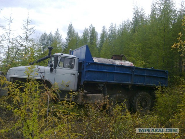Осенняя тайга