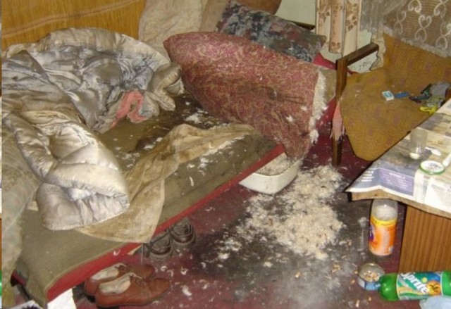 Скотсети и прочие интернеты 04.03.19