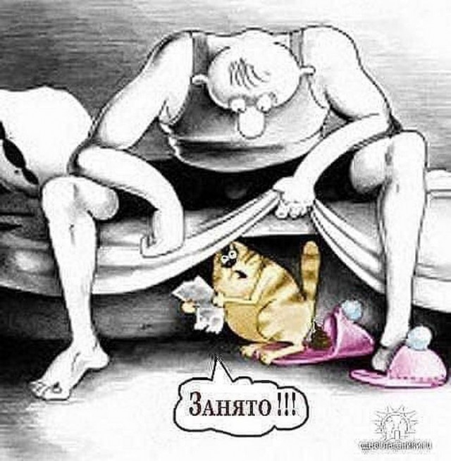 Бери шампур, губы не раскатывай и листай дальше!