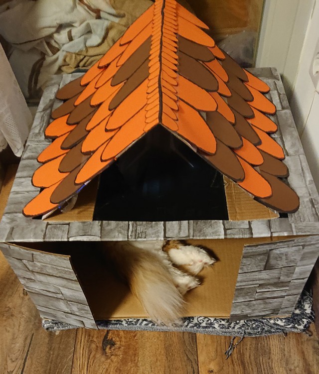 Кот, который не любит Новый год
