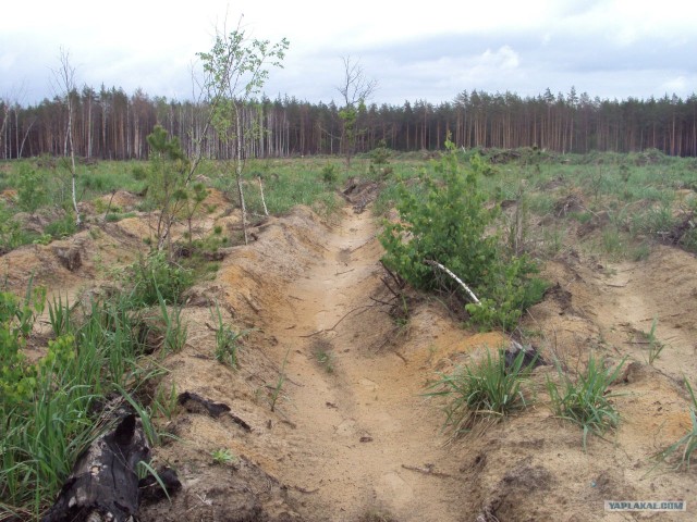 Как я провёл выходные.