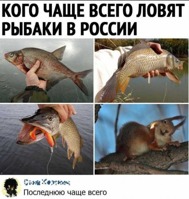Картинки на вчера