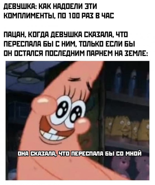 Весёлый полтишок 10.08