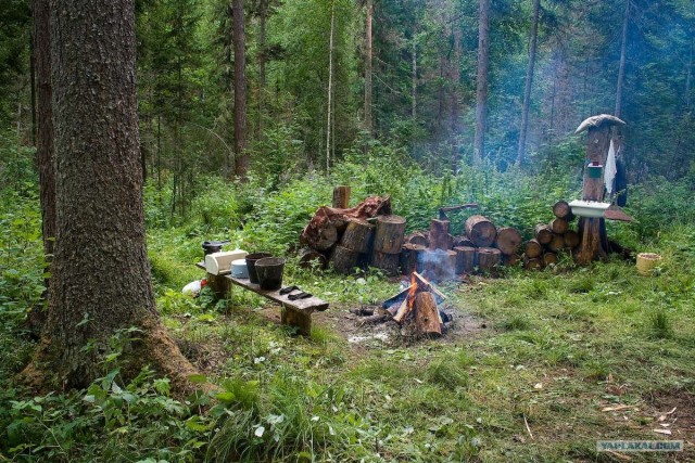 Тайга, сибирь, конец июля 2010