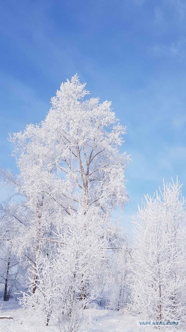 Мое небольшое увлечение. Мобильная фотография