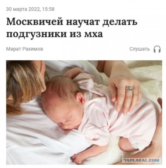 Мосстат: средняя зарплата в Москве выросла до 103 тысяч рублей